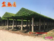 水榭